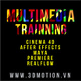 Multimedia training